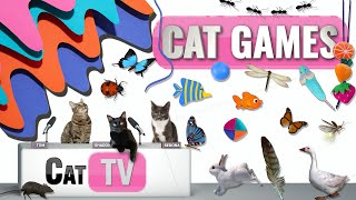 CAT Games  Ultimate Cat TV Compilation Vol 39  2 HOURS 🐝🐞🦋🦎🦜🐜🐭🧵 [upl. by Atiuqahc]