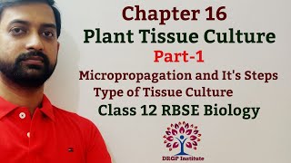 Class 12 Chapter 16 Plant Tissue Culture  Micropropagation Step  Types of Tissue Culture  Part1 [upl. by Hyacinthe]