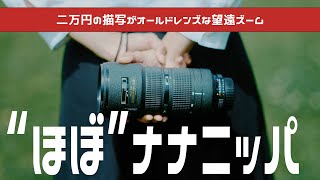 【Nikkor 80200 F28】2万円の”ほぼナナニッパquotなレンズの描写が本当に良いんです [upl. by Yekcir]