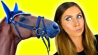 TACK HAUL  TRY ON  Bridle saddle pad  equitana haul EP1Eventer vlog [upl. by Auqenes]