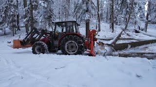 FPVSturmholz aufarbeiten amp Holzrücken Teil1  MF 4225 sound Tiger 8to Seilwinde  wood harvsting [upl. by Alema]