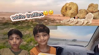 White Truffles HuntingTruffle hunting🏜️🏜️Saad Omer and Tamimshortvideo [upl. by Evetta151]