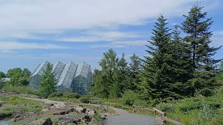 Botanischer Garten der Universität Osnabrück 15052024 [upl. by Ducan]