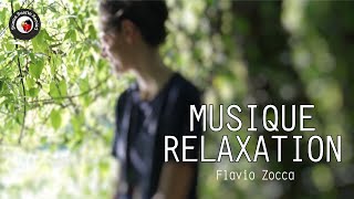 Flavio Zocca  Euphotic seal Lounge Chill Ambient Music [upl. by Reeves915]