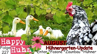 Hühnergarten UPDATE LaufentenKüken Goldfasane Zaunbau Hühner und Pflanzentipps HAPPY HUHN E227 [upl. by Fevre]