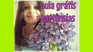 Aula de Hortênsias em EVA [upl. by Callista]