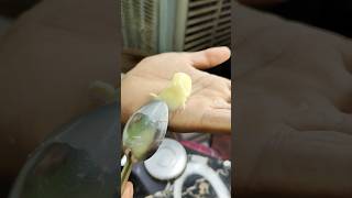 Making Or Testing Fake Or Real GheeButter 😱 Tasting Real Ghee shorts ghee testing [upl. by Akins998]