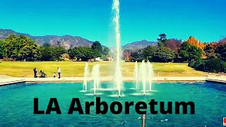 Walking tour of Los Angeles County Arboretum amp Botanic Garden in Arcadia CA 4K [upl. by Wilburt691]