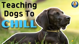 Get Your Dog To Calm Down With This Common Sense Protocol For Relaxation 191 podcast [upl. by Aimet931]