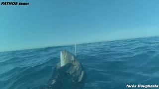 Chasse Sous Marine Tunisie a trou Hiver 2 2018 PATHOS PRO SPEARFISHING team fares boughzala [upl. by Yvad]