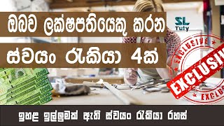 කරනවානම් මෙන්න රැකියා The best self employed job in Sri Lanka [upl. by Ainuj]