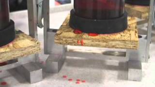 AdvanTech® Flooring Moisture Resistance Demo [upl. by Bremer76]