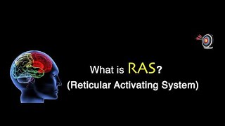 Reticular activating systemRAS क्या है और कैसे काम करता है  what is reticular activating system [upl. by Biagi112]