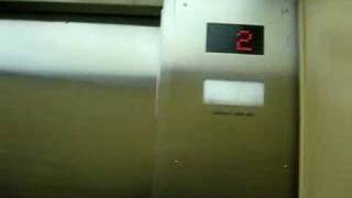 Graeginator Rides The Elevator at Sears at River Oaks Mall in Calumet City IL [upl. by Leonteen]