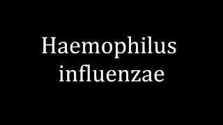 How to pronounce Haemophilus influenzae [upl. by Fitzgerald]