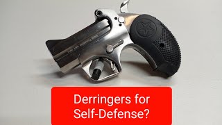 Are Derringers Good For SelfDefense [upl. by Narok]