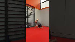 Banded Quadruped Thoracic Rotation mobility training flexibility homefitness [upl. by Darnok237]