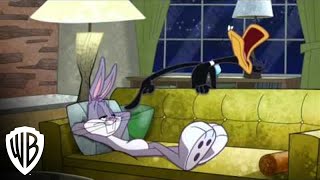 The Looney Tunes Show  Season 1 Volume 3 Official Trailer  Warner Bros Entertainment [upl. by Faxen]