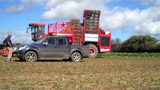 High hopes for sugar beet harvest [upl. by Iphigenia]