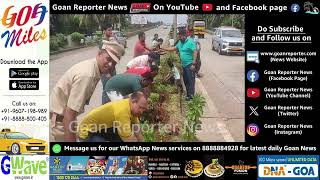 Goan Reporter News Forest Dept Rotaract Club amp Local Youth Plant Saplings on Highway Divider [upl. by Oicafinob]