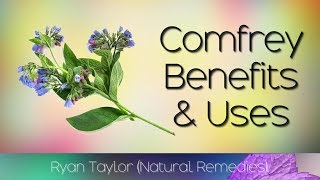 Comfrey Benefits and Uses [upl. by Damahom]