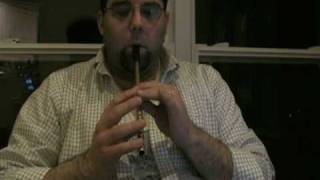 Tin Whistle Lesson 1 The D Scale [upl. by Fabian]