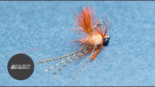 CARPINATOR FLY Fly Tying Tutorial [upl. by Clabo408]