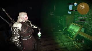 The Witcher 3  A Towerful of Mice Explore Tower Use The Magic Lamp and Find Alexander Lab PS5 40 [upl. by Zachar]