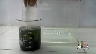 SEPARATE MIXTURE OF LEAD AND CADMIUM IONS BY PAPER CHROMATOGRAPHY  CHEMISRTY PRACTICAL [upl. by Aryn678]