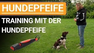 🐕🐶 Stephanie Salostowitz ➡️ Training mit der Hundepfeife ➡️ Praxisvideo 🐕🐶✔️ [upl. by Terryn561]