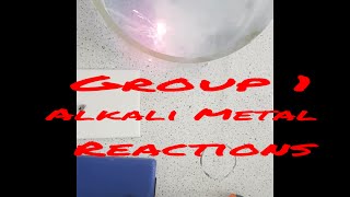 Group 1 Alkali Metals reaction with Water LIVE year 9 class AQA GCSE Chemistry New Spec [upl. by Matthieu]