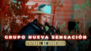 Popurrí Cariño Prohibido Cuando Salgo A Los Campos En Vivo  Grupo Nueva Sensación [upl. by Adnalro]