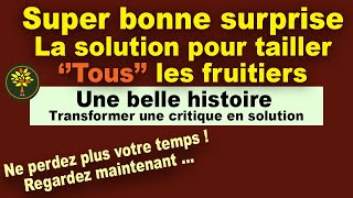 La taille des arbres fruitiers  La solution pour tailler tous les arbres fruitiers super surprise [upl. by Kirkwood514]