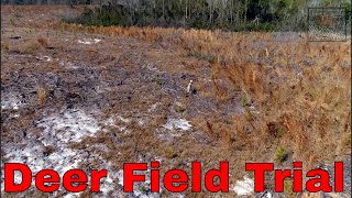 Town Creek Hunting Club Deer Field Trials [upl. by Rainie589]