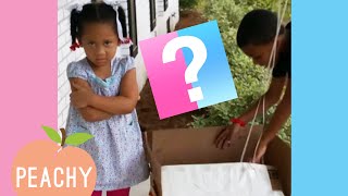 Boy Or Girl🤔  Funny Gender Reveal Reactions [upl. by Ahsenak946]