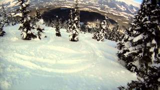 Cariboo Cat Skiing  Valemount Jasper [upl. by Arahd26]