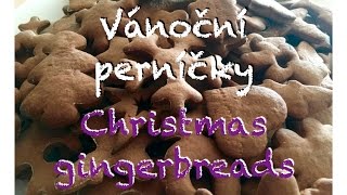 Vánoční PERNÍČKY  recept  Christmas GINGERBREAD  recipe [upl. by Allehcram914]