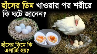 হাঁসের ডিম খাওয়ার পর শরীরে কি ঘটে জানেন Haser dim khele ki khoti hoy  Hanser dimer upokarita [upl. by Atileda]