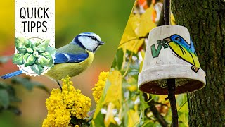 DIYIdee Futterspender Vogelfutter im Blumentopf selber machen  Volmary QuickTipps [upl. by Sul]