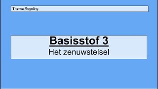 Havo 4  Regeling  Basisstof 3 Het zenuwstelsel [upl. by Cullan]