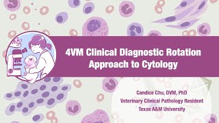 【Veterinary Cytology】Approach to Cytology [upl. by Tymes126]