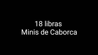 18 librasMinis de Caborca letra [upl. by Ssidnak]