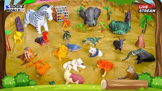 Herbivores Carnivores and Omnivores Animals for Kids Fun Learning Educational Video [upl. by Newfeld91]