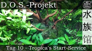 Tag 10  Tropicas StartService  DOSProjekt [upl. by Inimod]