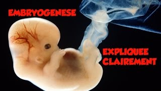 🔴 Dr Astuce  EMBRYOLOGIE EXPLIQUEE CLAIREMENT [upl. by Loram]