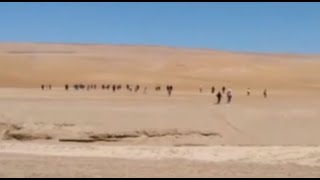 Tacna peruanos procedentes de Arica entraron caminando al país [upl. by Fernald242]