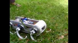 Robot berkaki enam berbasis ATMEGA dan Dynamixel AX12 [upl. by Jerrie]