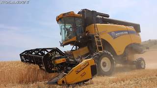 New Holland CX5090 Elevation Hillside Az Agr BosicaHarvest Season 2017 [upl. by Ecinue]