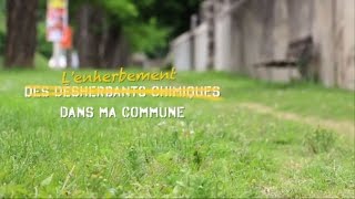 Lenherbement dans ma commune version HD [upl. by Gniliem576]