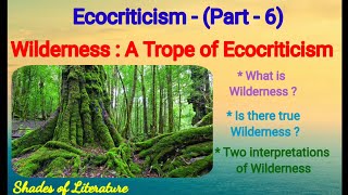 Wilderness A Trope of Ecocriticism [upl. by Llacam]